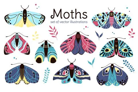 Moth Illustrations, Flat Decorative Children Style Stock Illustration