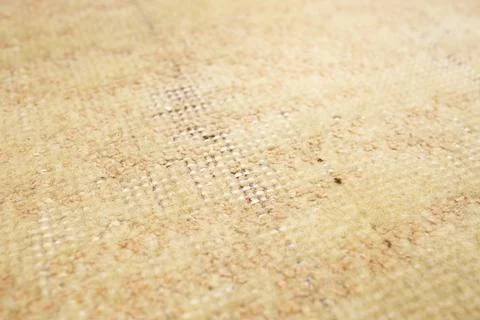 Moth infestation on a wool rug, soft focus close up Stock Photos