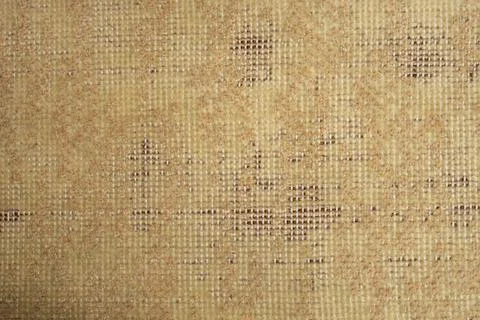 Moth infestation on a wool rug, soft focus close up Stock Photos