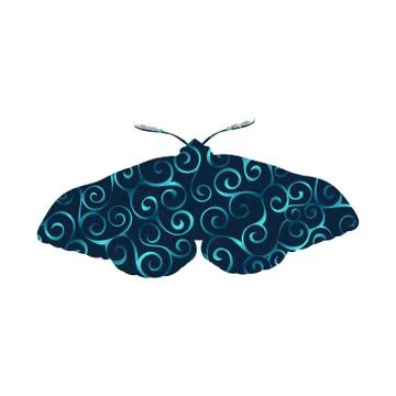Moth insect spiral pattern color silhouette animal Stock Illustration