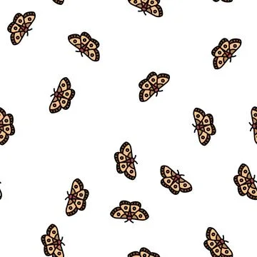 Moth insect vector seamless pattern Illustrazione stock