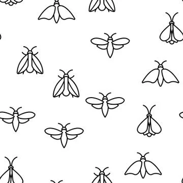 Moth, Insects Entomologist Seamless Pattern Vector Illustrazione stock