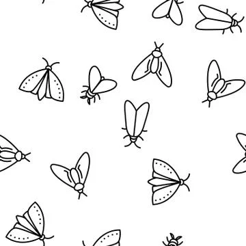 Moth, Insects Entomologist Seamless Pattern Vector Illustrazione stock