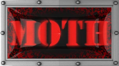 Moth on led Stock Footage 8759637