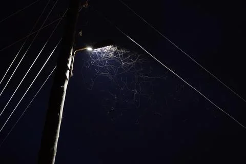 Moth noodles Foto stock