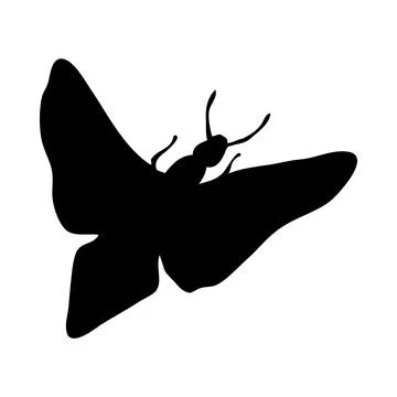Moth Silhouette Stock Illustration