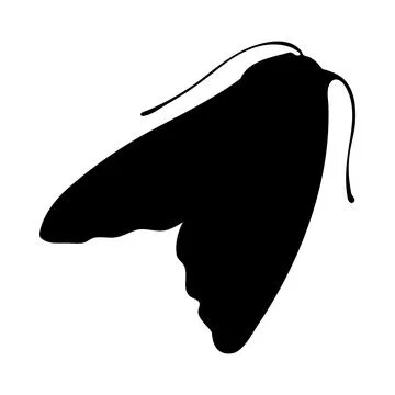 Moth Silhouette Stock Illustration