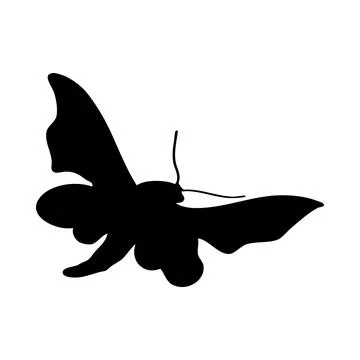 Moth Silhouette Stock Illustration