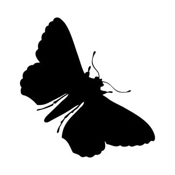 Moth Silhouette Stock Illustration