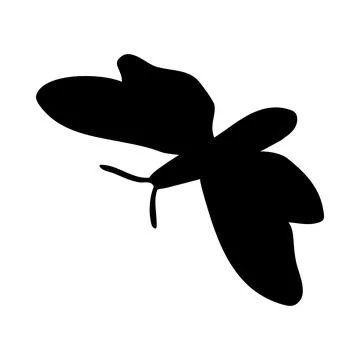Moth Silhouette Stock Illustration