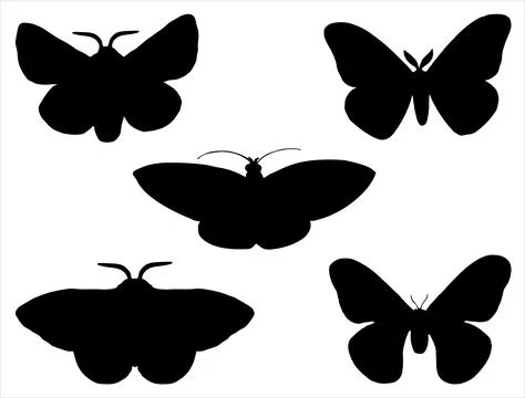 MOTH SILHOUETTE VECTOR ART Stock Illustration