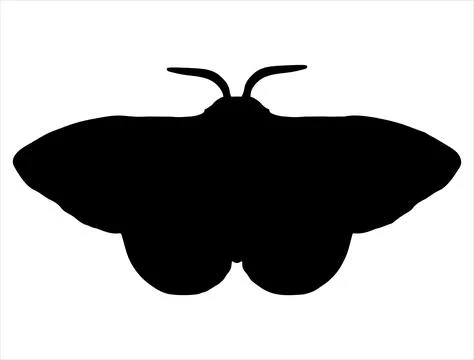 Moth silhouette vector art Stock Illustration