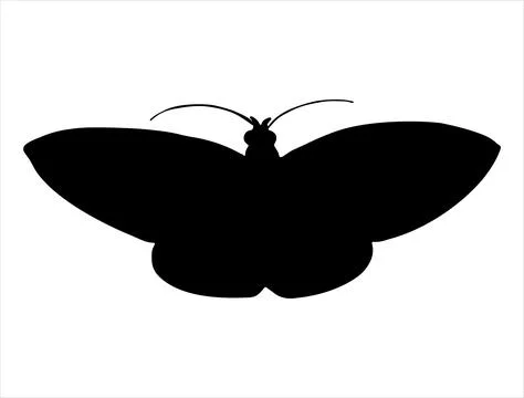 Moth silhouette vector art Stock Illustration