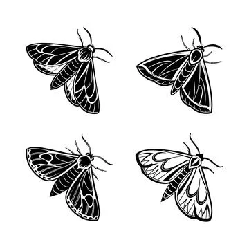 Moth silhouettes Stock Illustration