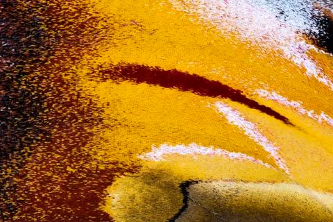 Moth wing, close-up Stock Photos