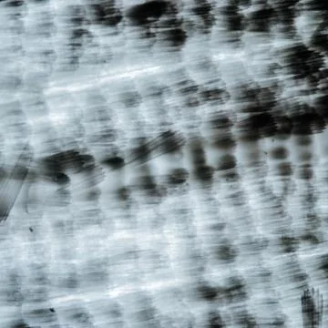 Moth wing micrograph Stock Photos