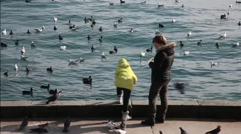 Mother And Child Are Feeding Birds Stock Footage