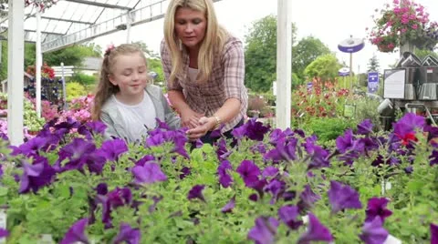 Mother and child at the garden centre Stock Footage