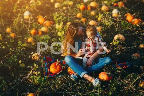 Mother and daughter on a field with pumpkins Stock Photos