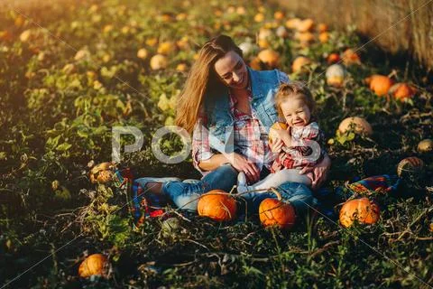Mother and daughter on a field with pumpkins Stock Photos