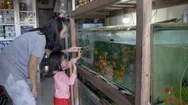 Mother And Daughter In Fresh Water Fish Market Stock Footage