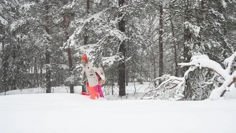 Mother and daughter laughing while sledding in snowy forest Stock Footage 317237953