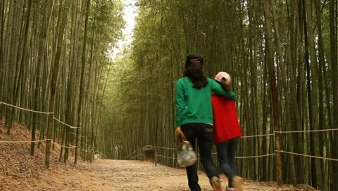 Mother and daughter walking through Bamboo forest Stock Footage