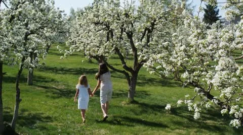 Mother and daughter walking through a flowering orchard Stock Footage