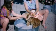 Mother And Daughter Wash The Family Dog 1950S Vintage Home Movie 5853 Stock Footage