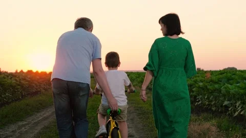 Mother and father guide son in cycling on ground road between fields at sunset Stock Footage 258699671