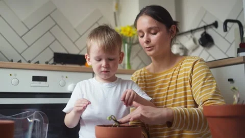 Mother and her child compacting soil in pot containing seedling with their hands Stock Footage 331438402