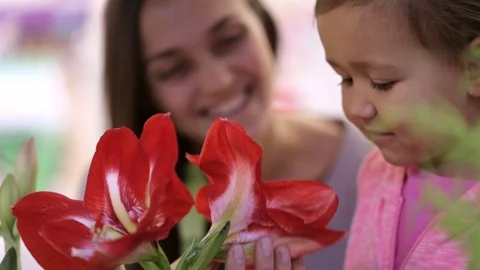 Mother and her cute young daughter selecting a flowers at supermarket Video stock 69751353