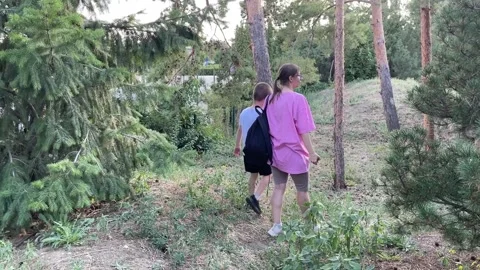 Mother and her son continue their family hike in a pine forest Stock Footage 316087298