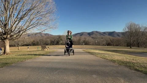 Mother and one year bboy in a stroller are running in the park, mountains in Stockbeeldmateriaal 271319085