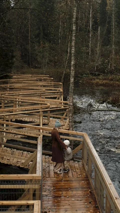 A mother and son are dancing on a wooden bridge path near a forest river. Stock-Footage 319963505