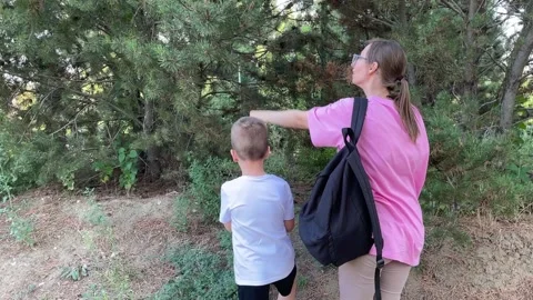 Mother and son explore a pine tree together on a sunny forest walk. Stock Footage 316208963