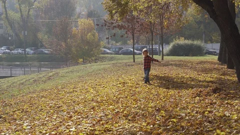 Mother and son having fun in the autumn Park and lying in a pile of yellow Stock-Footage 97104252