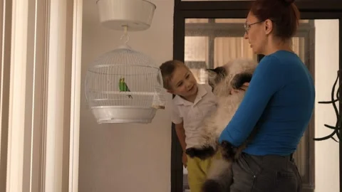 Mother and son introducing cat to parrot Stock Footage 321463771