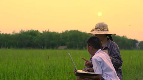 Mother and son looking rice field and checking data in laptop on sunset 스톡 동영상 150282522