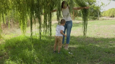 Mother and son playing under a weeping willow tree Stock Footage 322173688