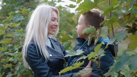 Mother and son touch each other with their noses Stock Footage 76736311