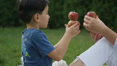 Mother and son trying to stack up the apples in backyard Vídeos de archivo 119991779