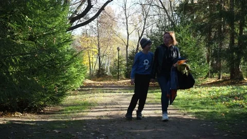 Mother and son walk through the autumn park. nature walks Stock Footage 170900751