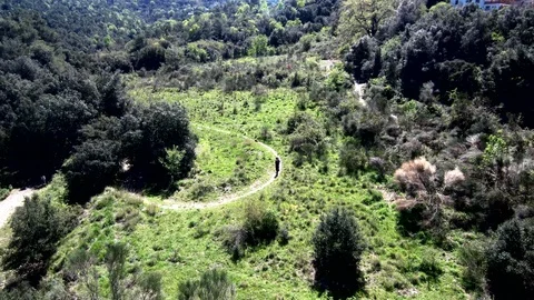 Mother and son walking on a path. Aerial view. Stock Footage 88577986