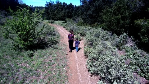 Mother and son walking on a path. Aerial view. Stock Footage 88582838