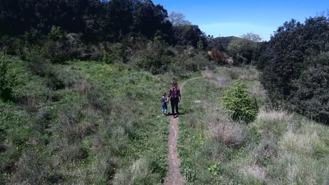 Mother and son walking on a path. Aerial view. Stock Footage 88582870
