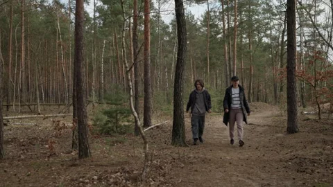 Mother and son walking on a path and talking together in an autumn forest Stock Footage 316150807