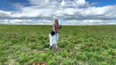 Mother and son walking in spring on meadow among wild flowers. Stock Footage 262237510