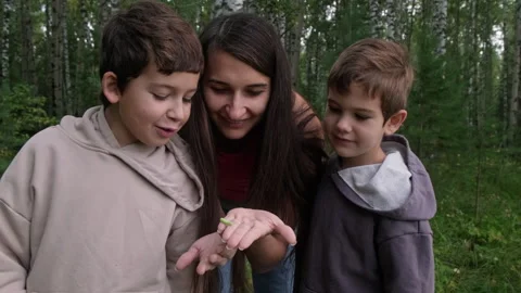 Mother and sons observing small caterpillar in forest Video stock 315413875