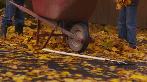Mother and sons picking up fall leaves Video stock 61676350
